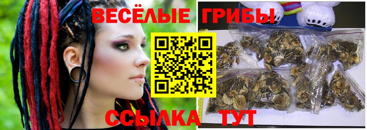 Псилоцибиновые грибы GOLDEN TEACHER  Галлюциногенные грибы ЛСД  Котлас  Вход с VPN 